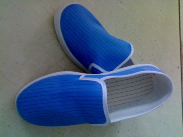 兰色条纹洁净鞋